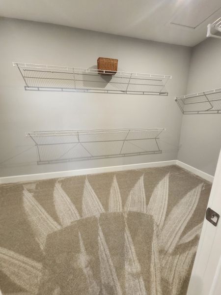 Spacious closet with neutral carpet, wire shelving, and a wicker basket for organized storage.