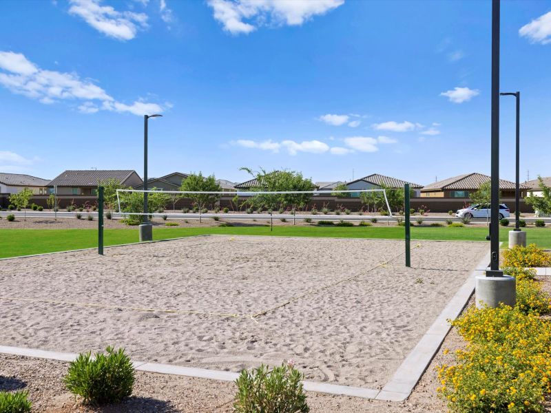 Volleyball at Bella Vista Farms