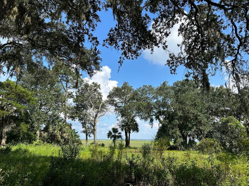 Natural surroundings and green spaces near Katie Cove in Jacksonville, FL (Image 41).