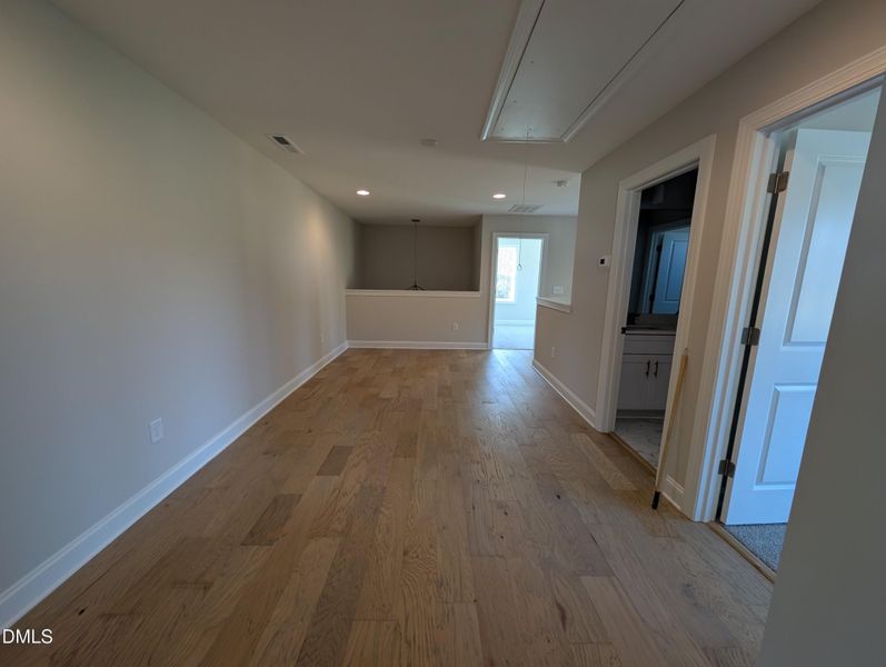 PXL_20251120_143230119 PXL_20251120_143230119