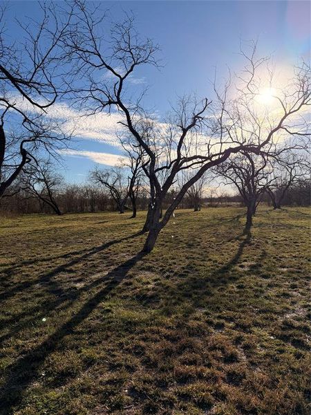 Natural landscape and outdoor views near  in Kemp (Image 21).