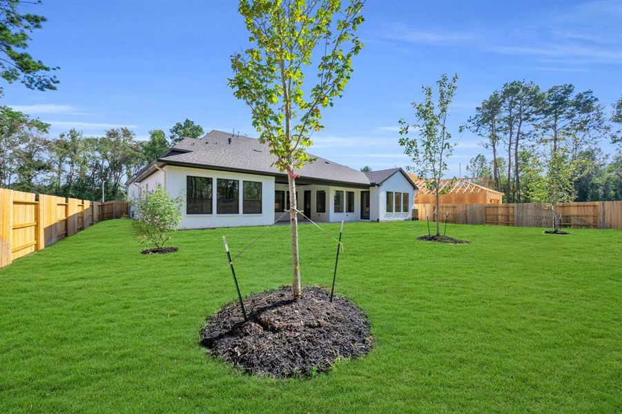 Huge back yard and views of mature trees!