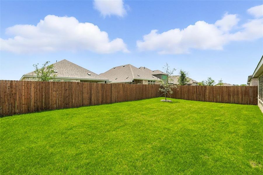 View of fenced backyard