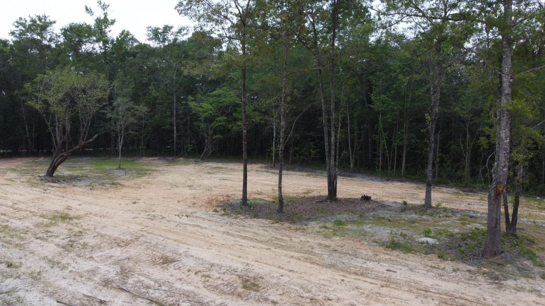 Natural landscape and outdoor views near in Huger (Image 15). Natural landscape and outdoor views near in Huger (Image 15).