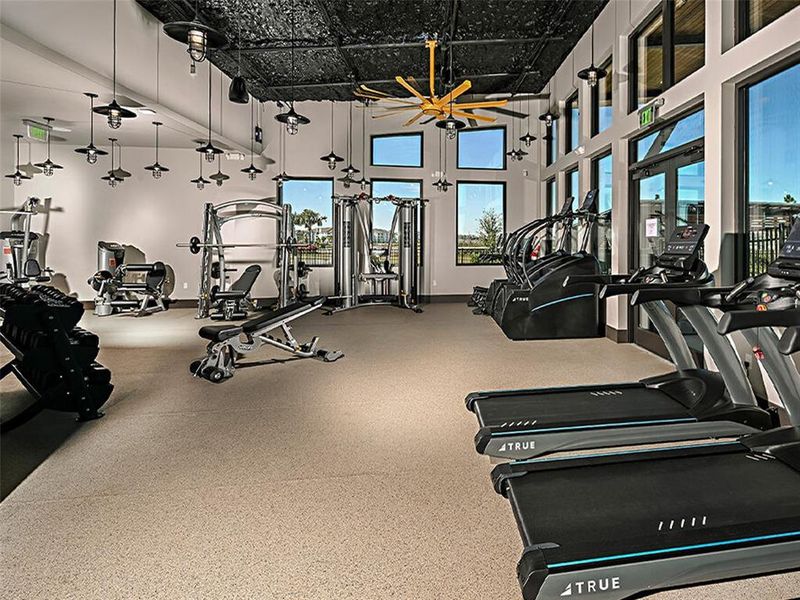 Community amenities in , Wesley Chapel (Image 25). Community amenities in , Wesley Chapel (Image 25).