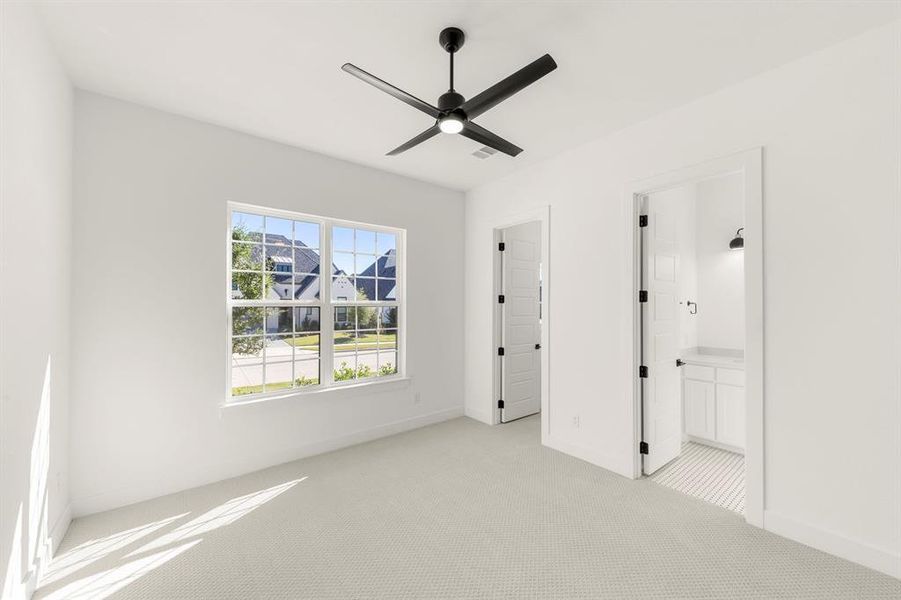 09. 3409 Alysheba - Bed 2