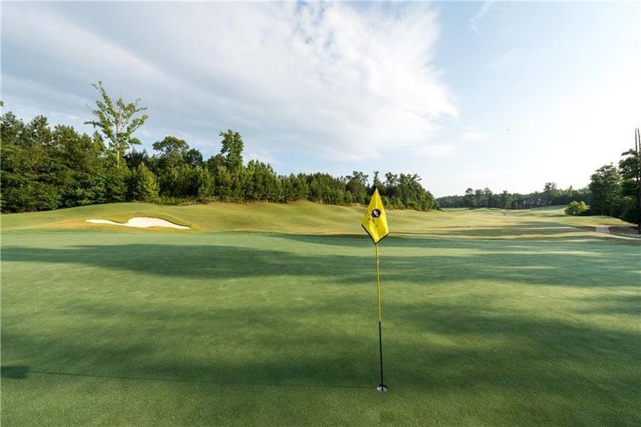 Natural landscape and outdoor views near in Alpharetta (Image 18). Natural landscape and outdoor views near in Alpharetta (Image 18).