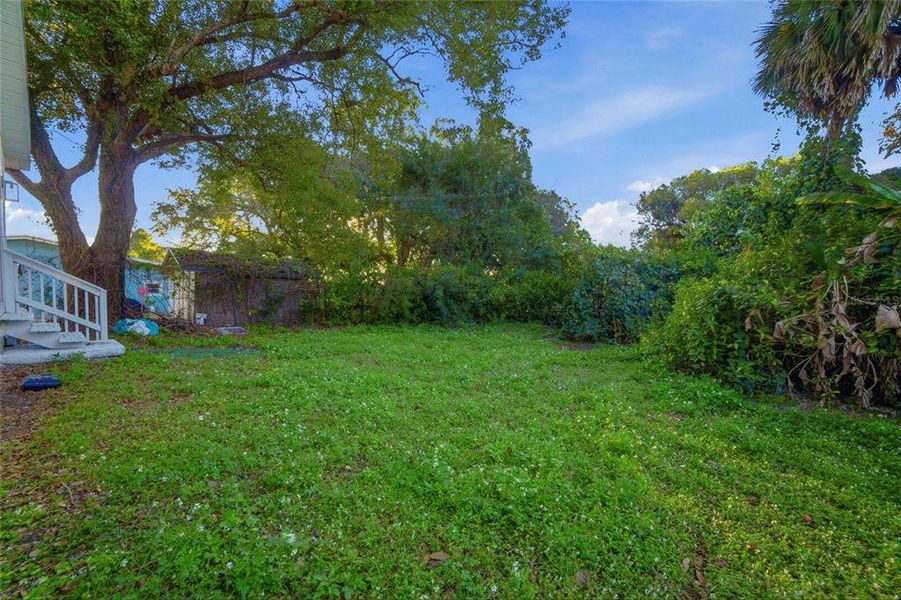 Natural landscape and outdoor views near  in Orlando (Image 25).