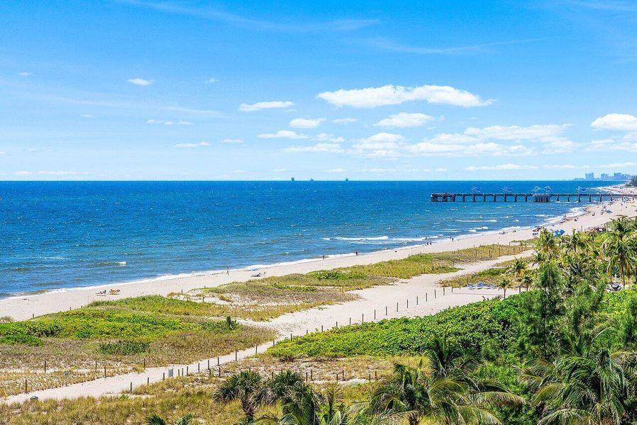 Ocean view