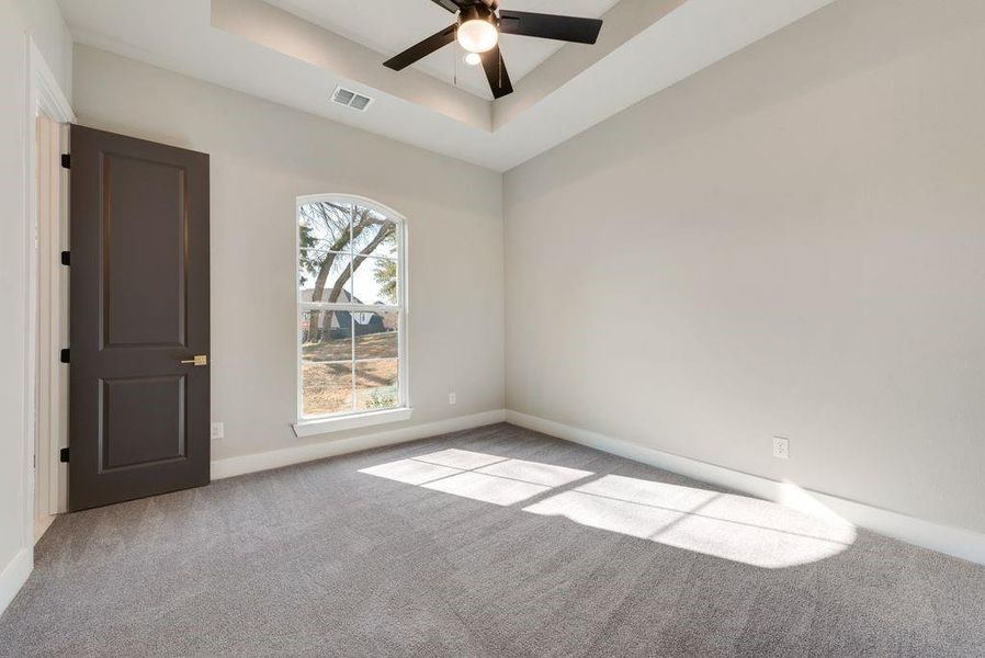 Empty room featuring a raised ceiling, ceiling fan, and light carpet