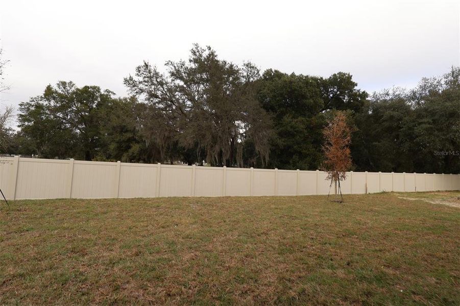 Exterior details and patio area of a home in Willow Run, Apopka (Image 4).