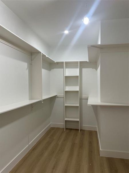 Walk in closet featuring wood-type flooring