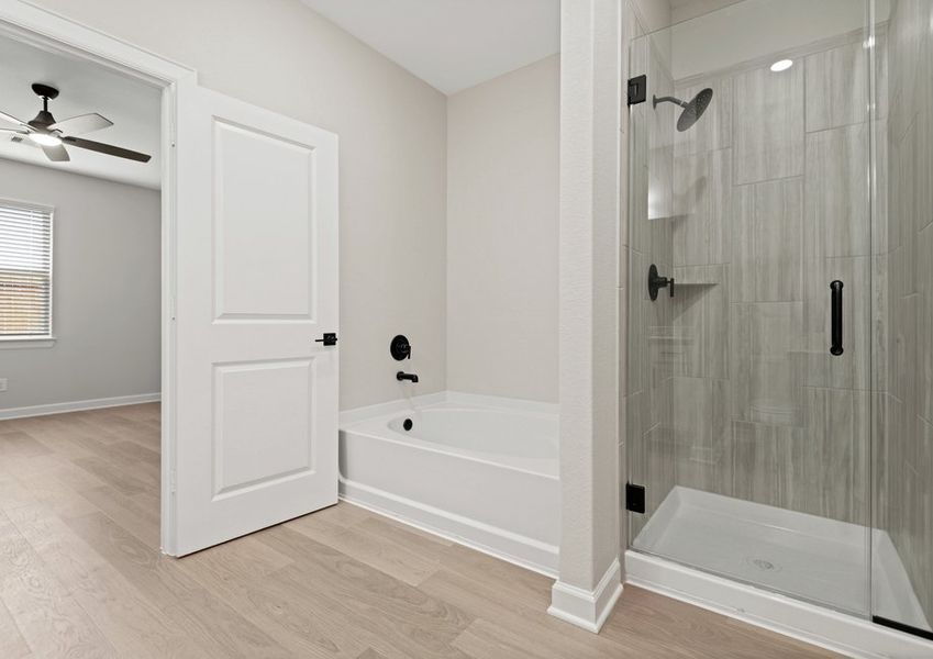 Step-in shower with tile detail and a separate tub in the master bathroom.