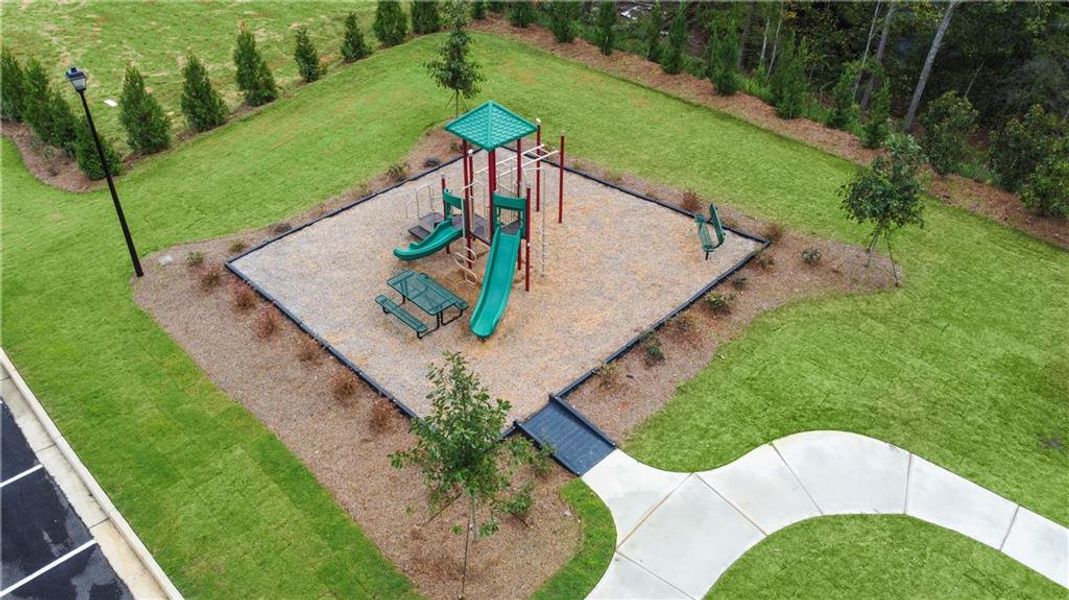 Community amenities in Reunion, Flowery Branch (Image 46).