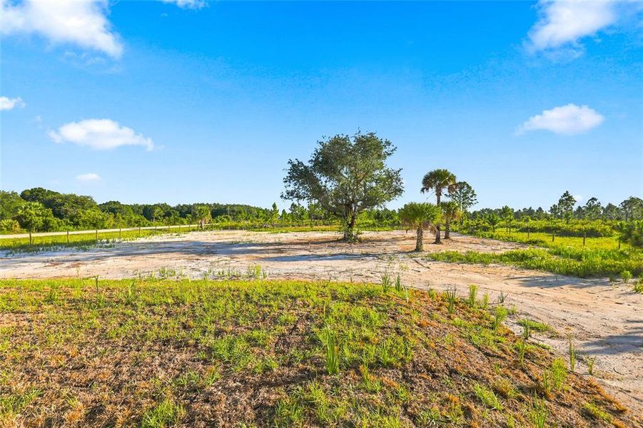 Natural landscape and outdoor views near  in Okeechobee (Image 36).