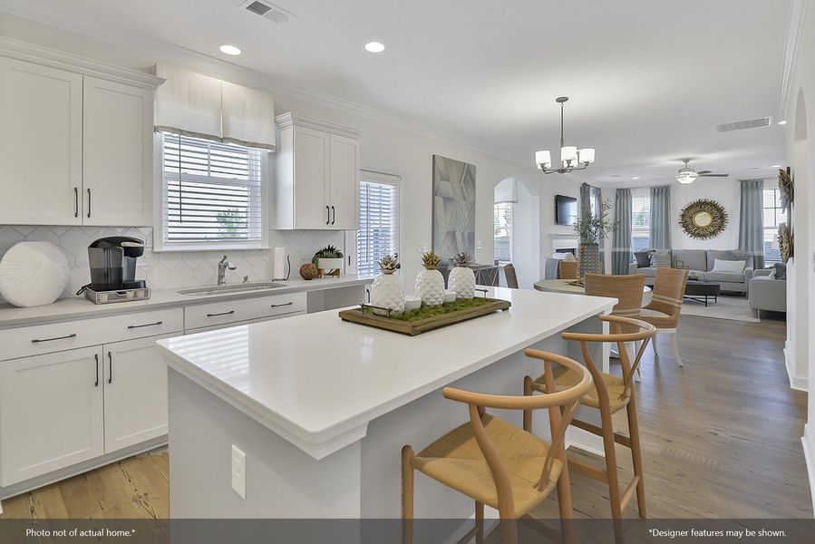 Furnished interior view inside a new home in Pebble Branch, Chapin (Image 7).