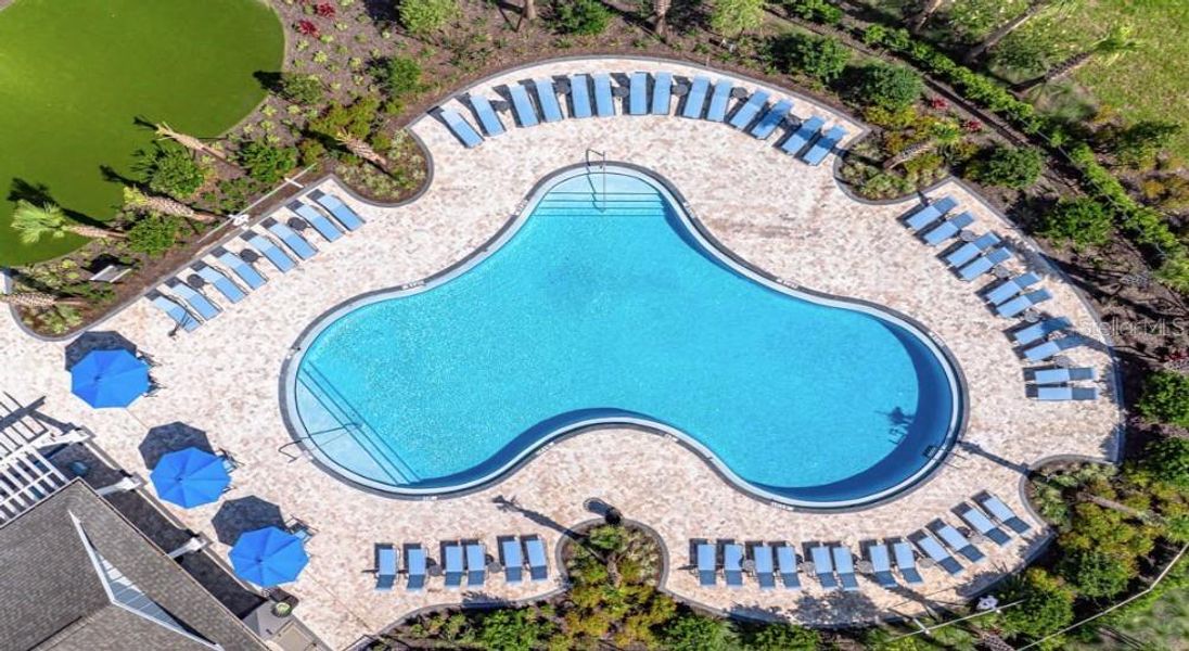 Community amenities in Palm Wind, Hudson (Image 25).