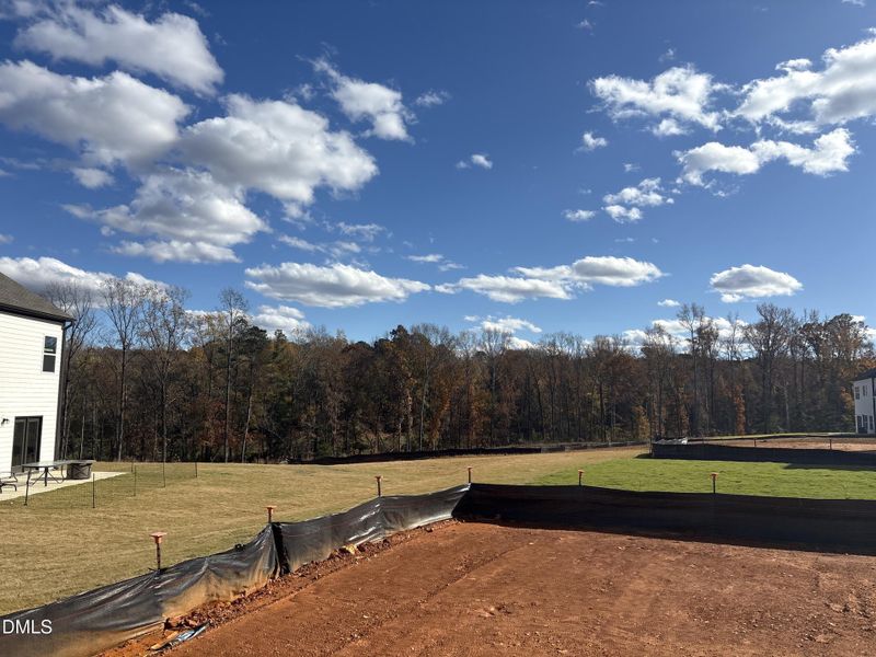 Photo_Nov_10_25 01-48-48 PM