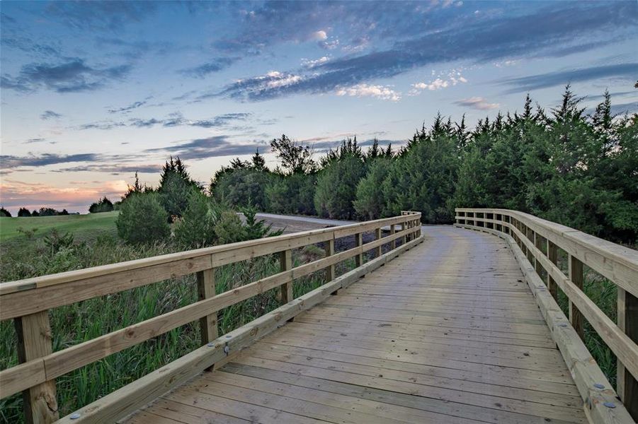 Walking Bridge