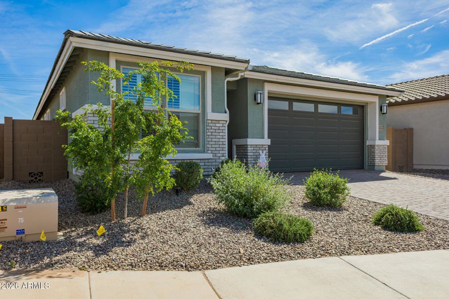 03 - Rummier 03 - Rummier