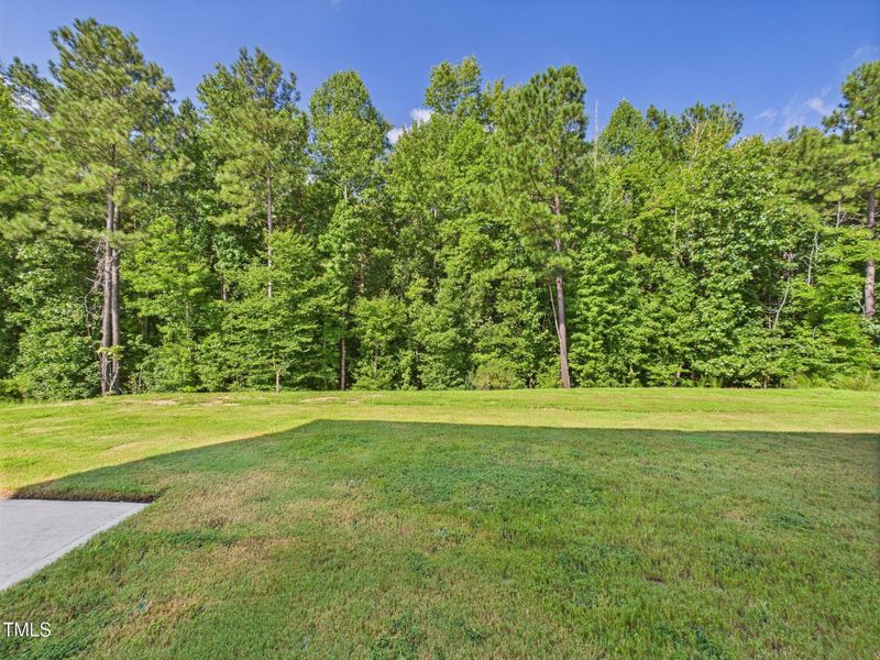 CAM01608G0-PR0104-STILL010