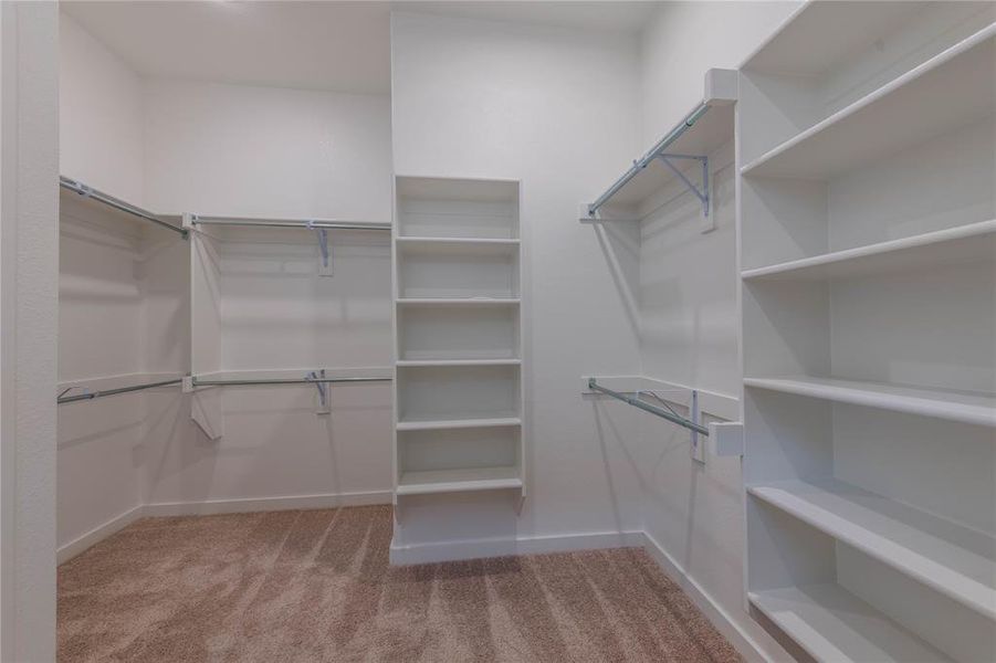 Walk in closet with carpet