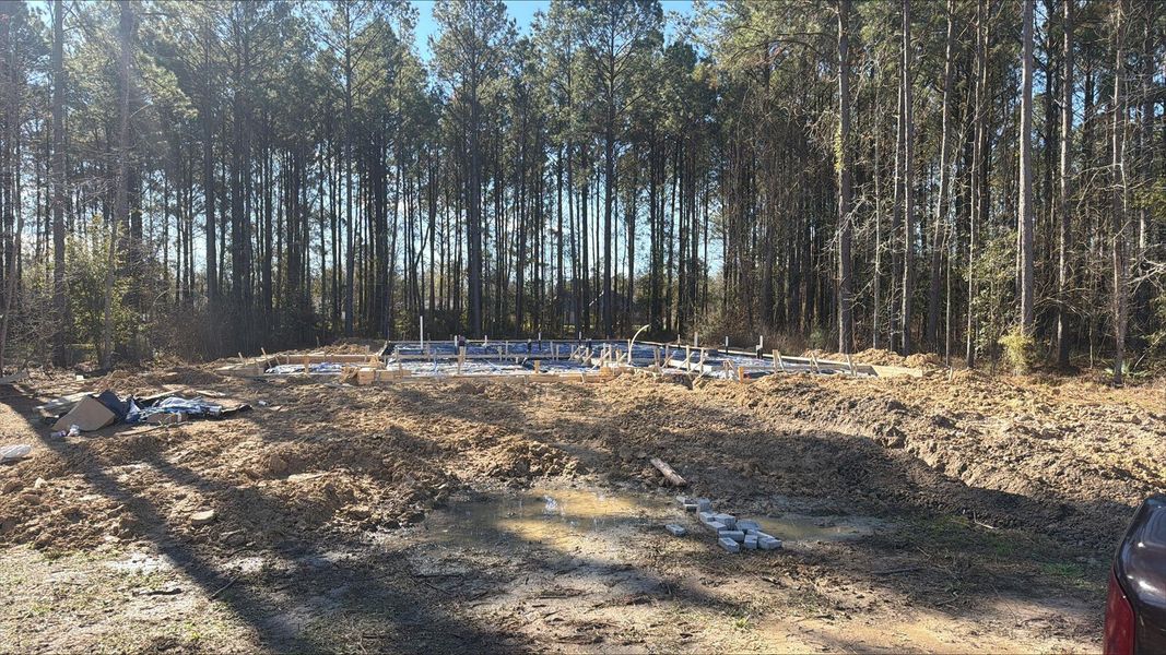 Site preparation for new homesites in Encino Estates, Dayton (Image 4).