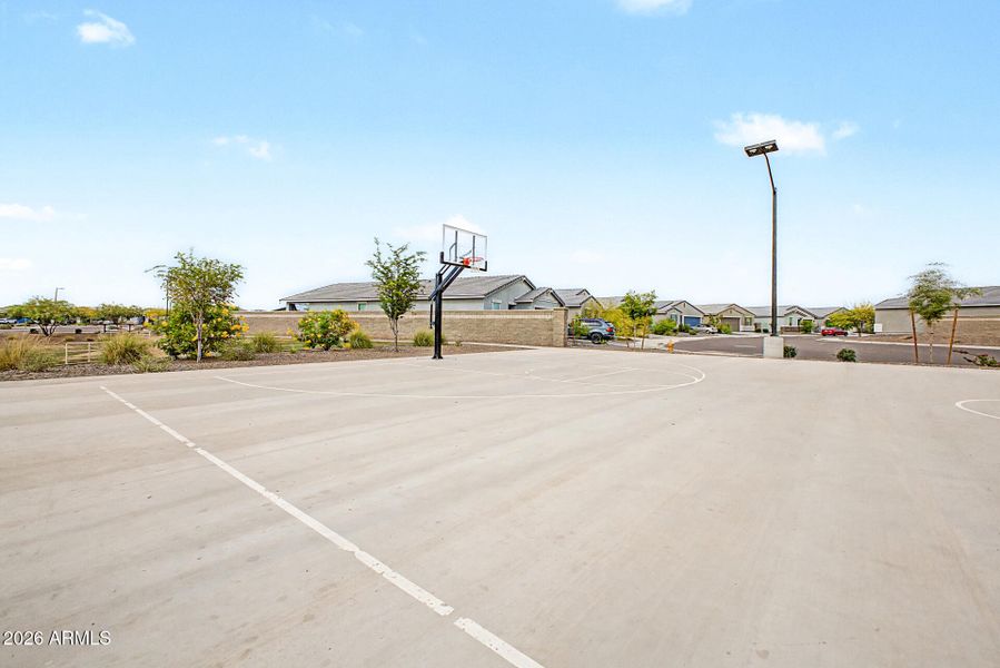 Basketball Court