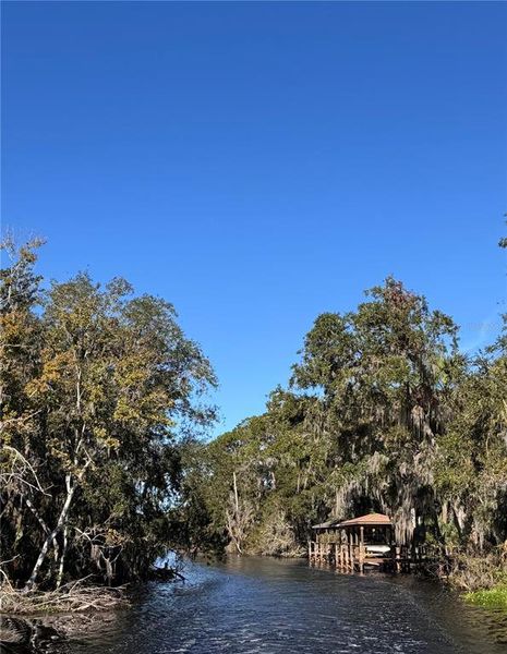 Natural landscape and outdoor views near in Tavares (Image 8). Natural landscape and outdoor views near in Tavares (Image 8).