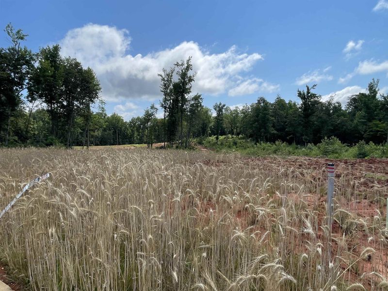 Image 25 of a home in Tubbs Mountain Estates. Image 25 of a home in Tubbs Mountain Estates.