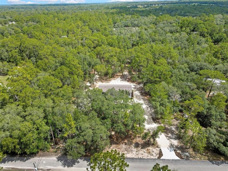 Natural landscape and outdoor views near  in Homosassa (Image 48).