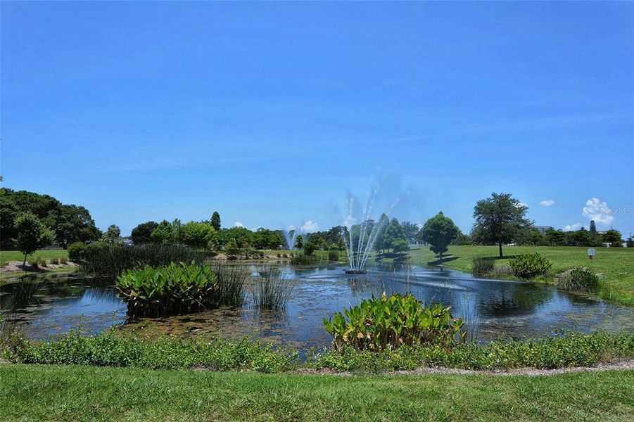Natural landscape and outdoor views near  in Sarasota (Image 32).