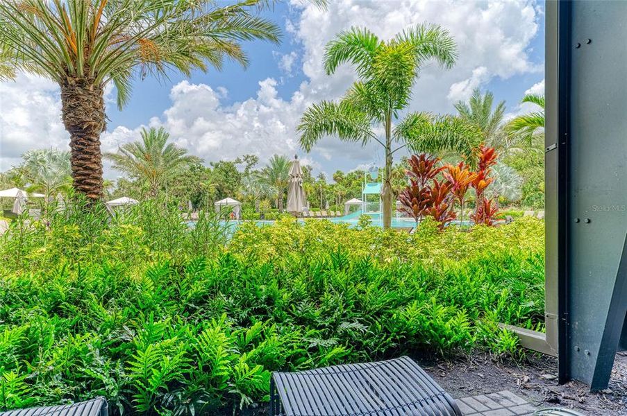 Natural landscape and outdoor views near  in Sarasota (Image 74).