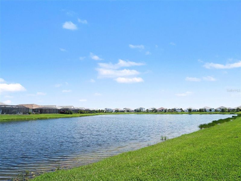 Natural landscape and outdoor views near in Sarasota (Image 38). Natural landscape and outdoor views near in Sarasota (Image 38).
