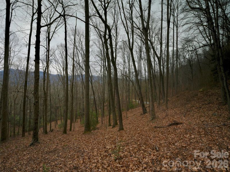 Natural landscape and outdoor views near in Arden (Image 10). Natural landscape and outdoor views near in Arden (Image 10).