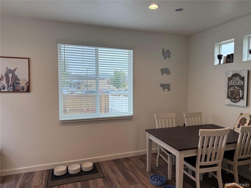 Window overlooks backyard