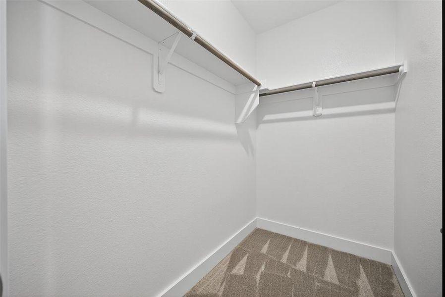 Spacious closet featuring carpet flooring Spacious closet featuring carpet flooring