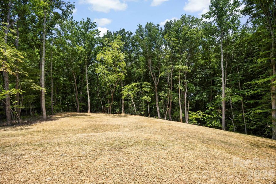 Natural landscape and outdoor views near  in Gastonia (Image 46).
