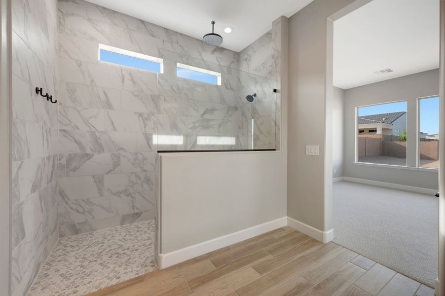 Owner's Bath