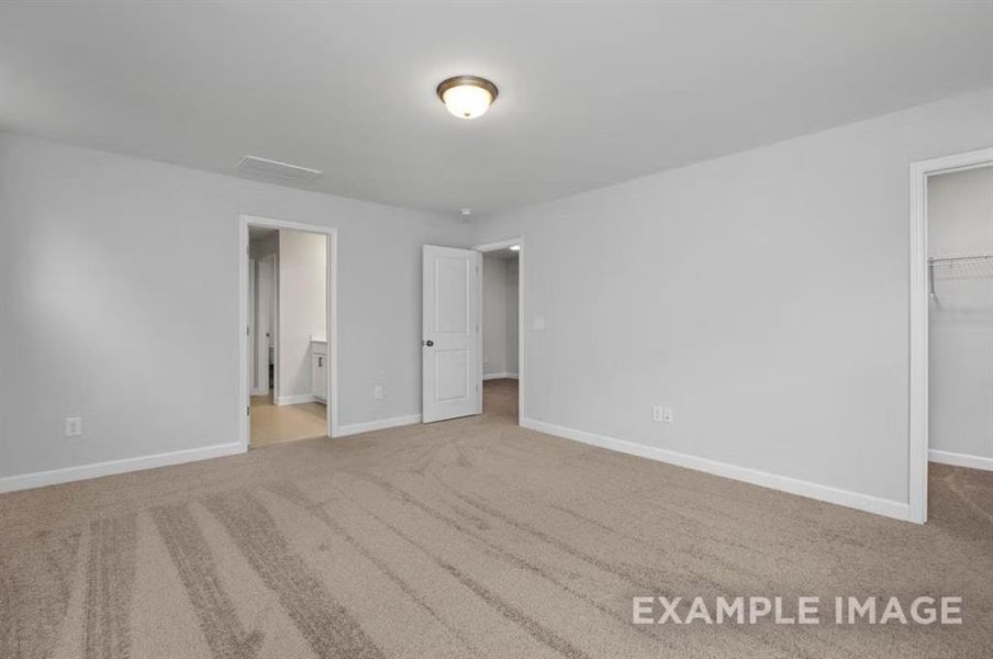 Unfurnished bedroom featuring a spacious closet, baseboards, carpet floors, and a closet