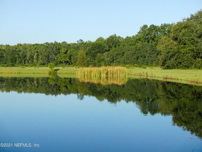 Natural landscape and outdoor views near  in St. Augustine (Image 22).