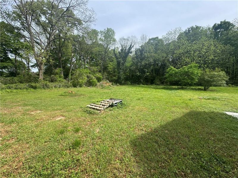 Natural landscape and outdoor views near  in Lithonia (Image 13).