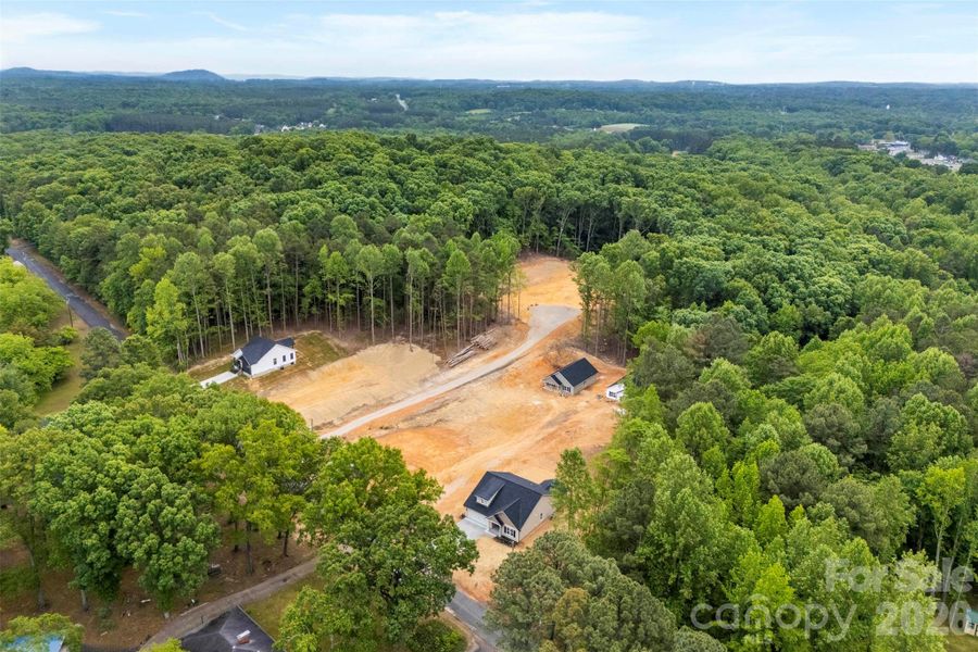 Site preparation for new homesites in , Albemarle (Image 38).