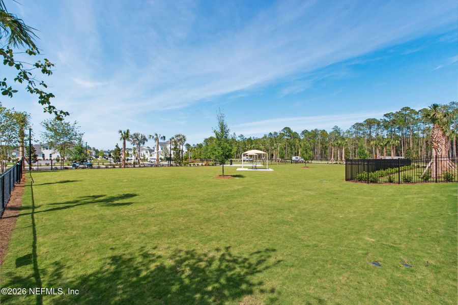 Natural landscape and outdoor views near in Ponte Vedra (Image 54). Natural landscape and outdoor views near in Ponte Vedra (Image 54).