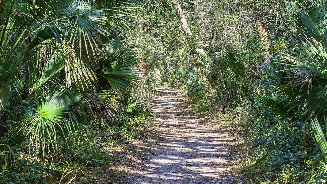 Natural landscape and outdoor views near Colbert Landings in Palm Coast (Image 90).