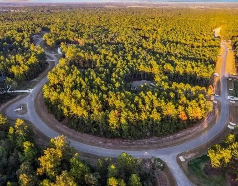 Aeriel view of High Meadow Aeriel view of High Meadow