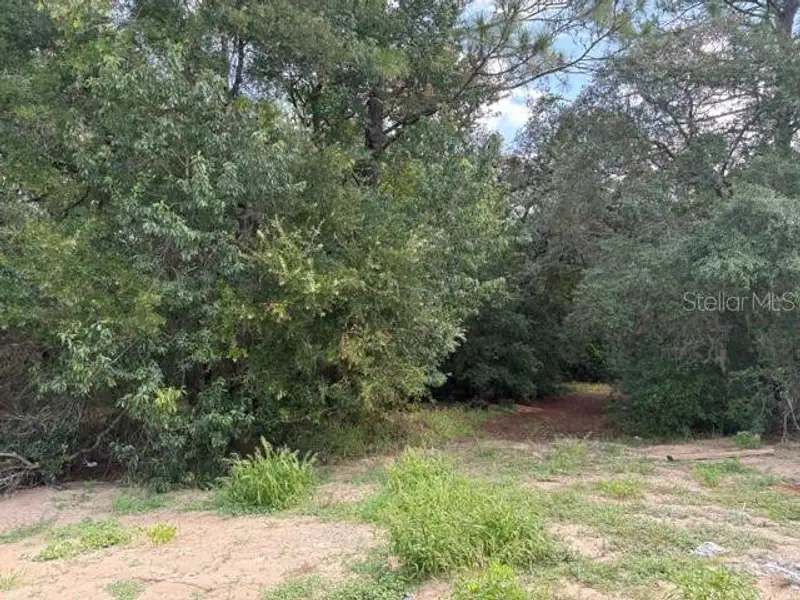 Natural landscape and outdoor views near Juliette Falls in Dunnellon (Image 13). Natural landscape and outdoor views near Juliette Falls in Dunnellon (Image 13).