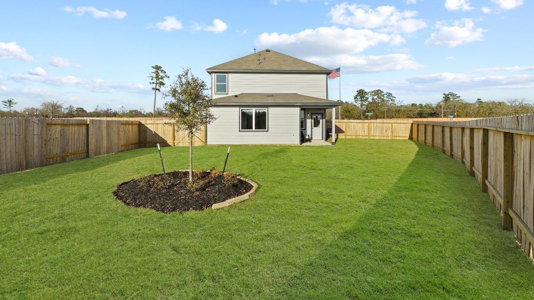 Backyard Backyard