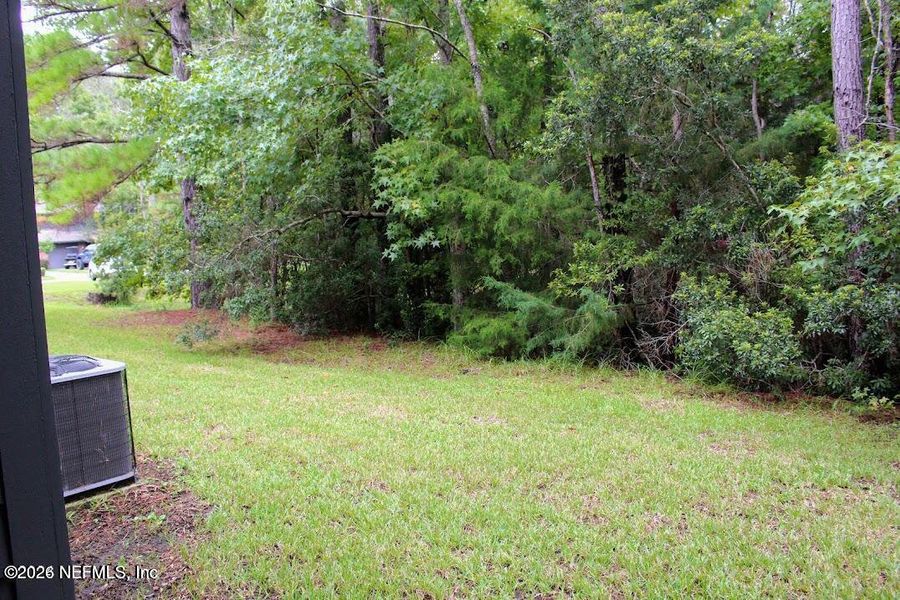 Natural landscape and outdoor views near  in Middleburg (Image 27).