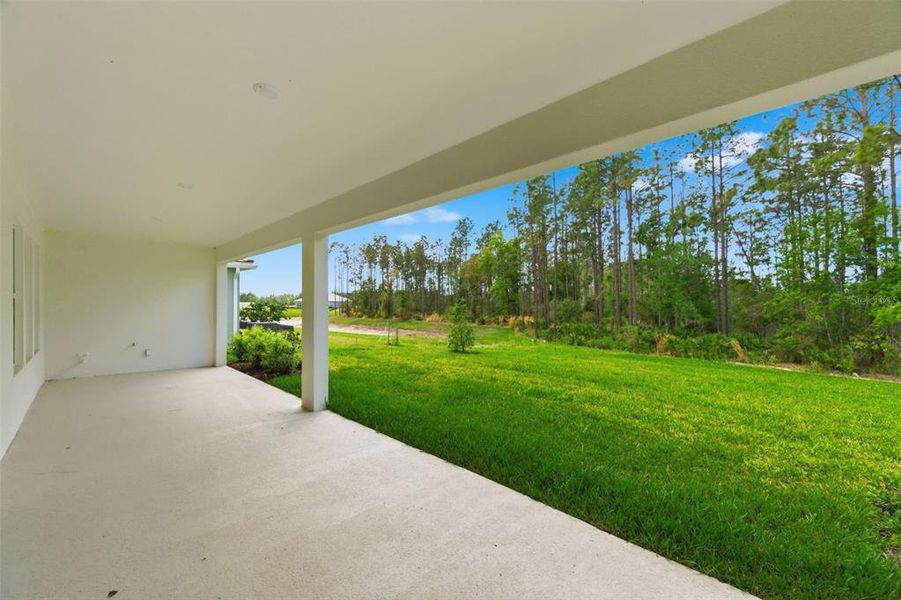 Exterior details and patio area of a home in Hammock at Two Rivers, Zephyrhills (Image 4).